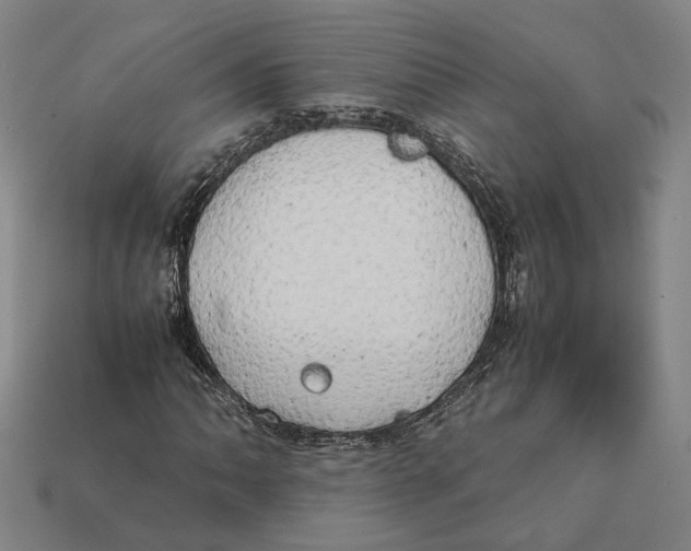 X0000112401062200909110924