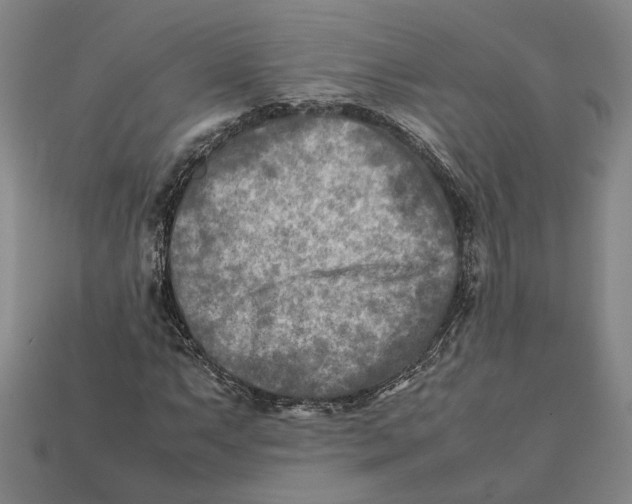 X0000112401063200909110924