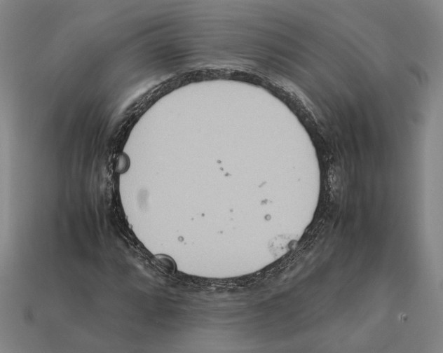 X0000112401064200909110924