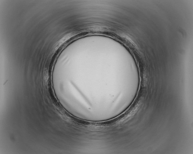 X0000112401065200909110924