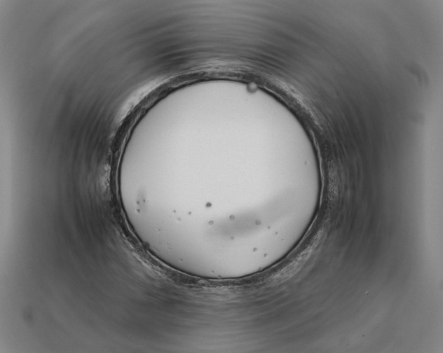 X0000112401066200909110924