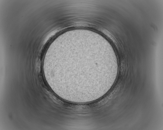 X0000112401067200909110924