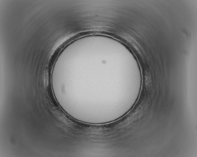 X0000112401069200909110924