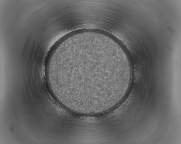 X0000112401070200909110924