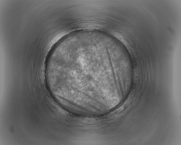 X0000112401071200909110924