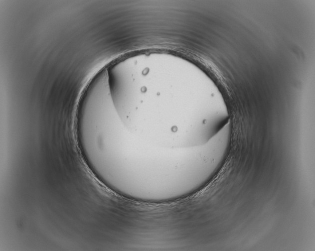 X0000112401072200909110924