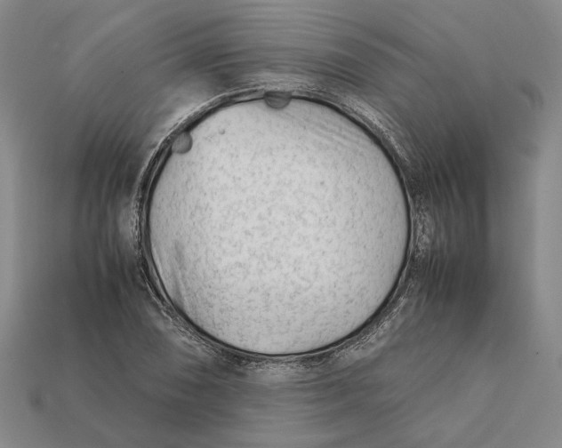 X0000112401074200909110924