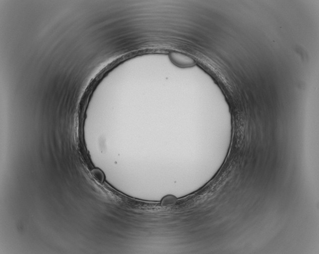 X0000112401076200909110924