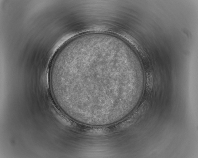 X0000112401078200909110924
