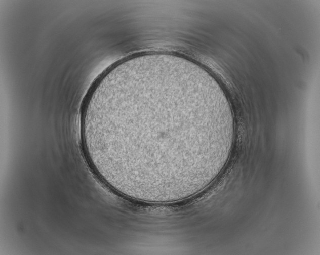X0000112401079200909110924