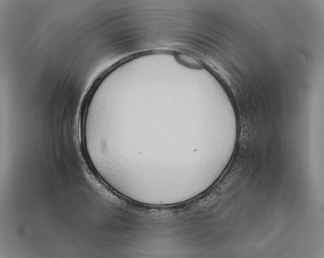 X0000112401080200909110924