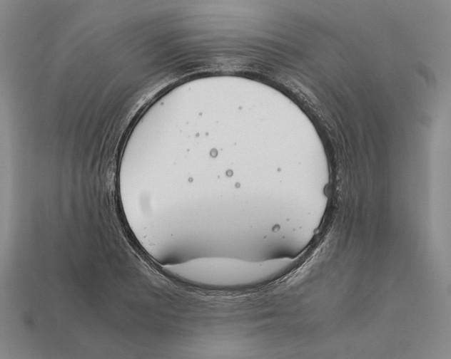 X0000112401081200909110924