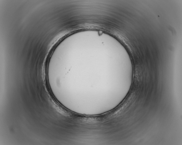 X0000112401082200909110924