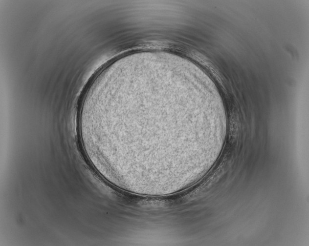 X0000112401083200909110924