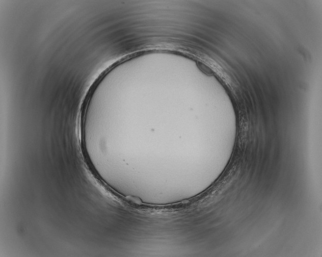 X0000112401084200909110924