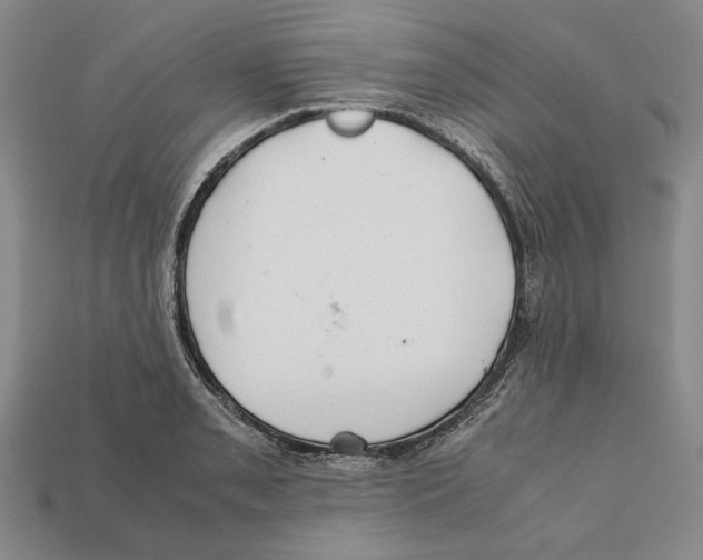 X0000112401085200909110924