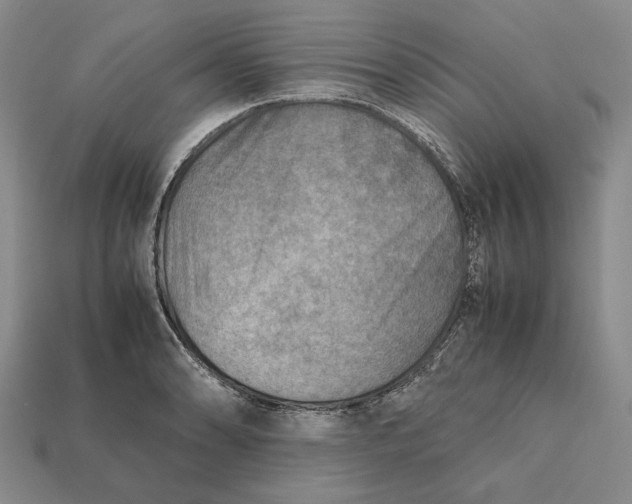 X0000112401086200909110924