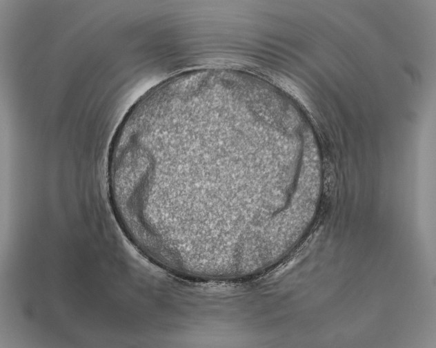 X0000112401087200909110924