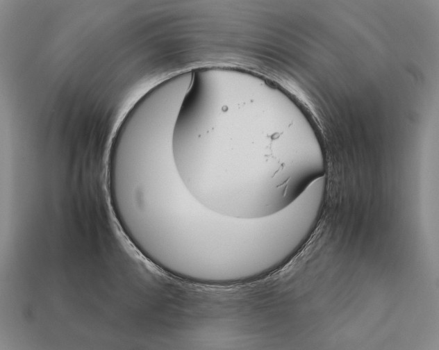 X0000112401088200909110924