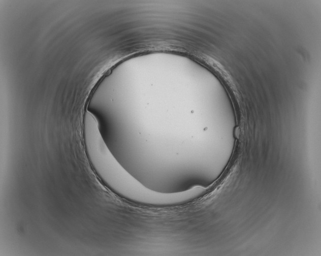 X0000112401089200909110924