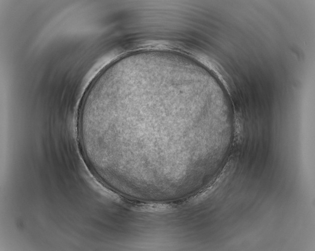 X0000112401090200909110924