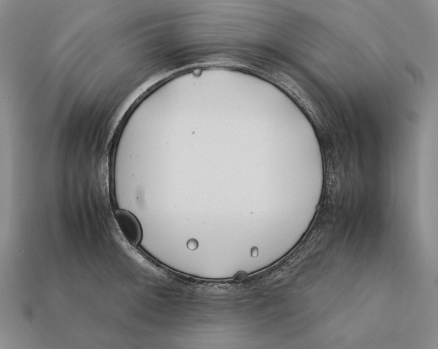 X0000112401092200909110924