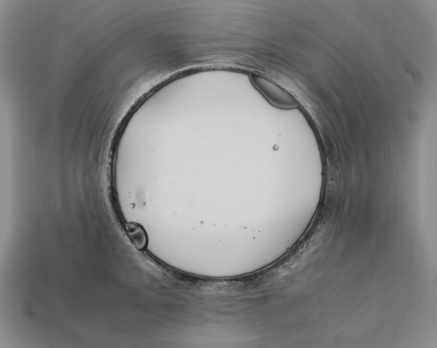 X0000112401093200909110924