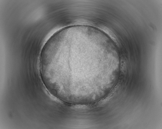 X0000112401094200909110924