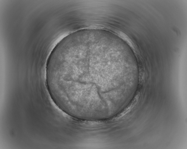 X0000112401095200909110924