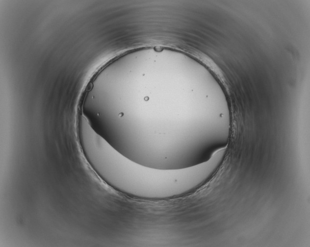 X0000112401096200909110924