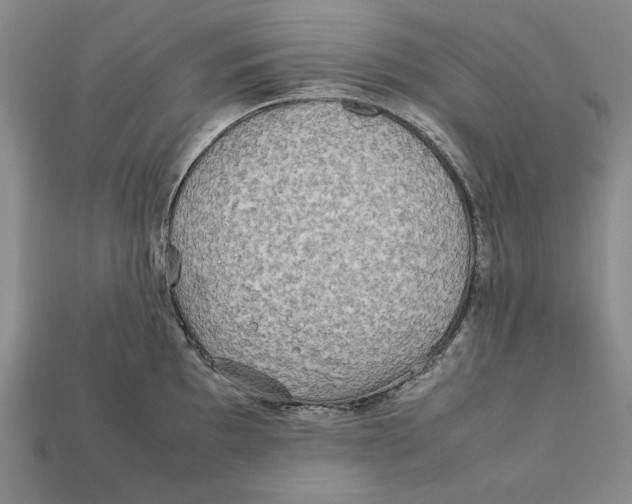 X0000112401097200909110924