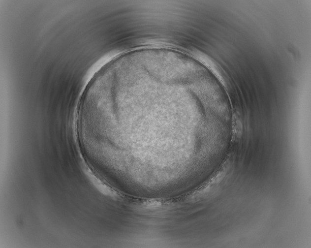 X0000112401098200909110924