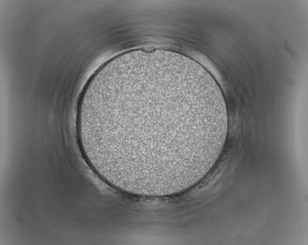X0000112401099200909110924