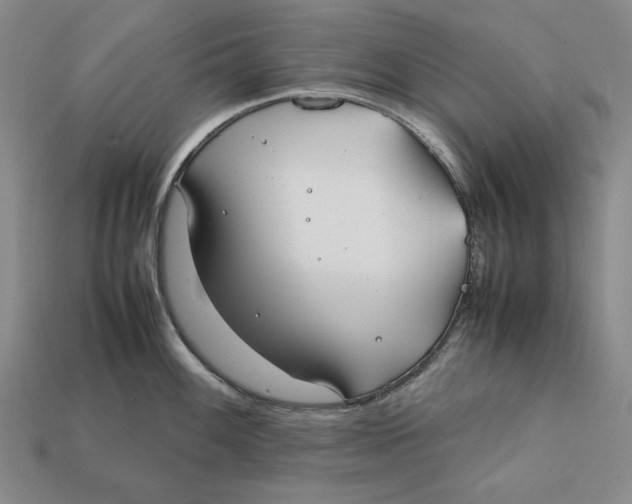 X0000112401100200909110924
