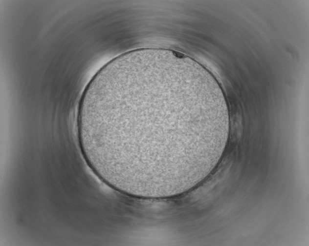 X0000112401103200909110923