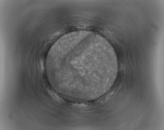 X0000112401106200909110923