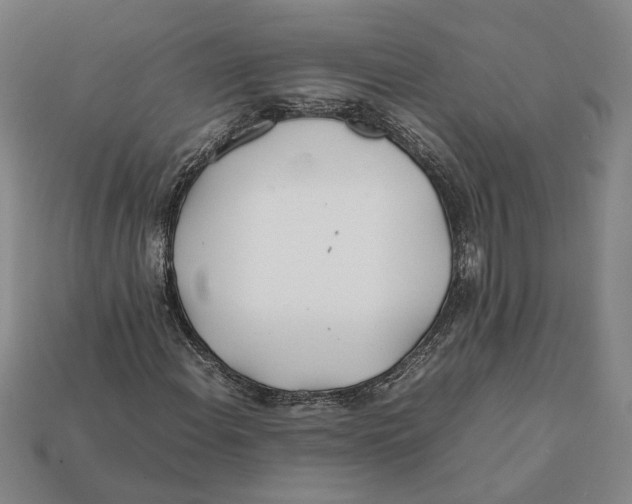 X0000112401108200909110923
