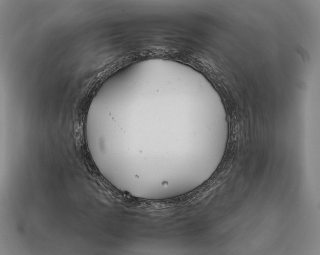 X0000112401109200909110923