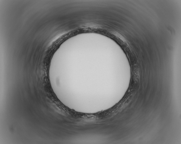 X0000112401112200909110923