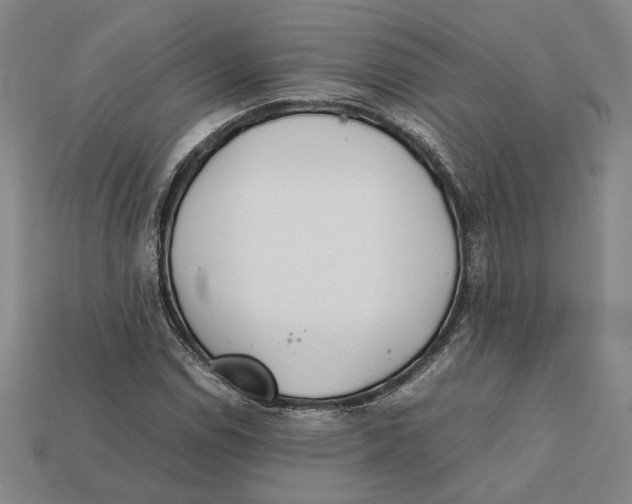 X0000112401114200909110923