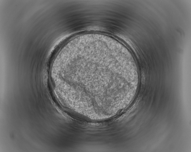 X0000112401115200909110923