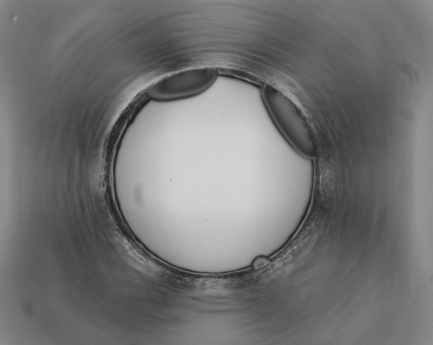 X0000112401116200909110923