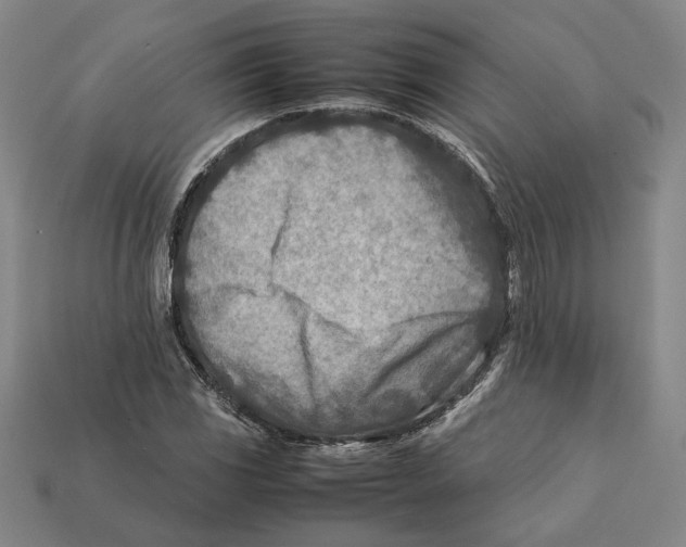 X0000112401117200909110923
