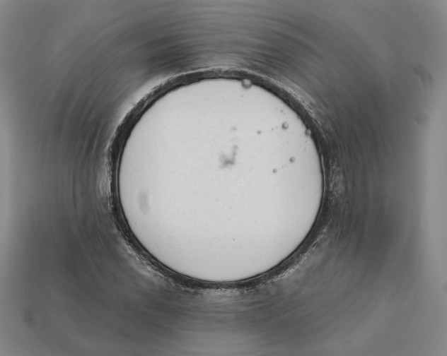 X0000112401118200909110923