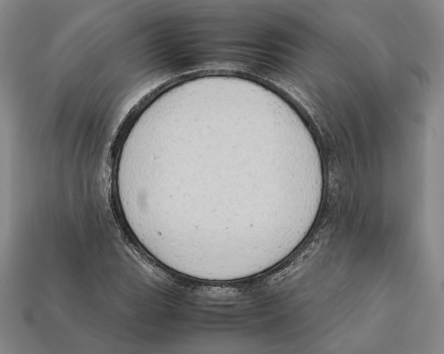 X0000112401119200909110923