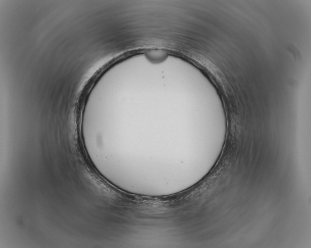X0000112401120200909110923