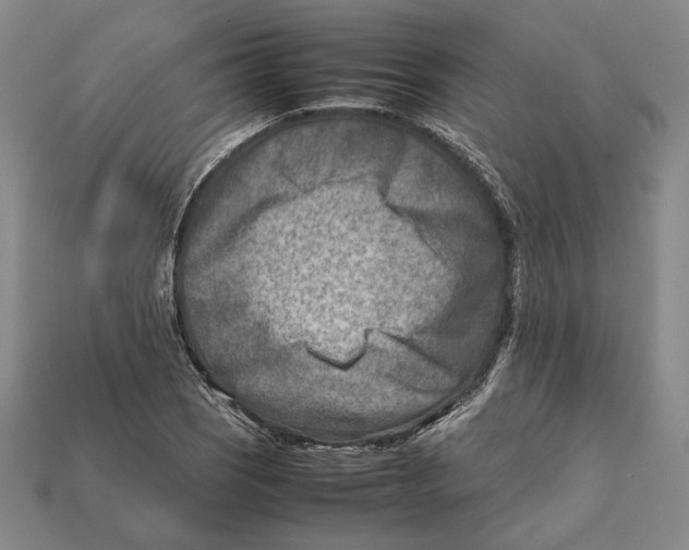 X0000112401121200909110923