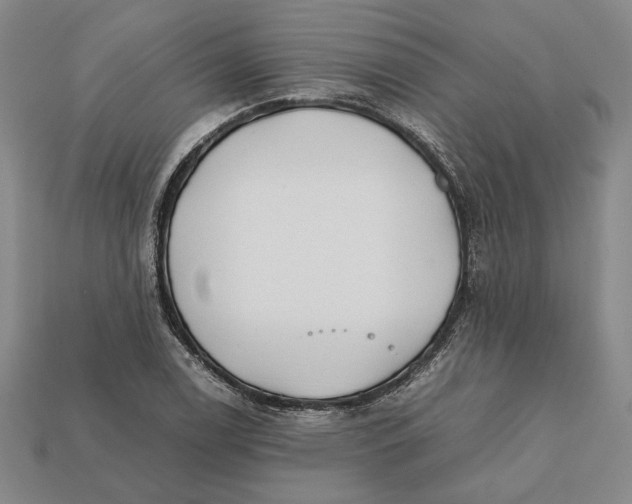 X0000112401122200909110923