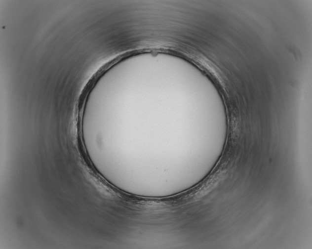 X0000112401124200909110923