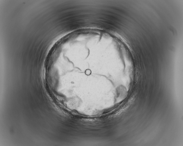 X0000112401125200909110923